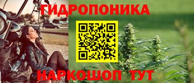 герыч Моздок