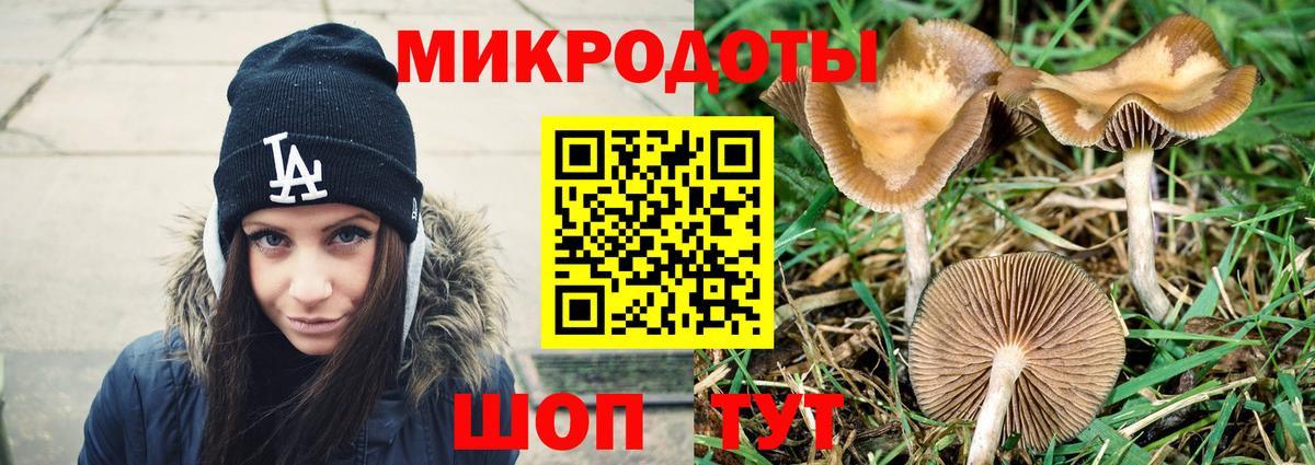 Псилоцибиновые грибы Cubensis  Галлюциногенные грибы Psilocybe  Электросталь  Вход с VPN 